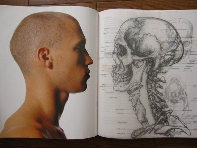 洋書 Anatomy for the Artist / Sarah Simblet