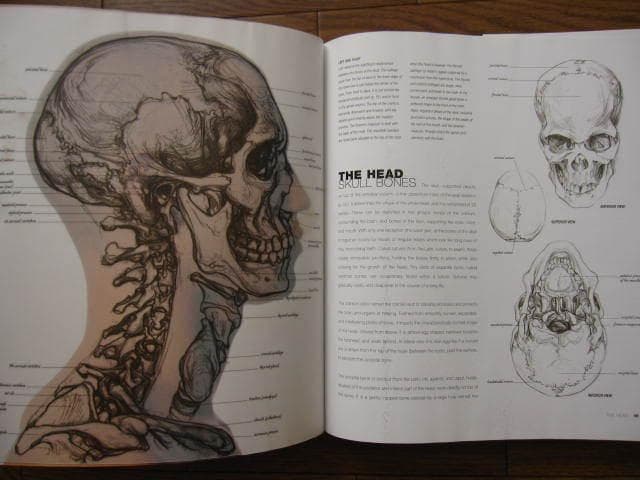 洋書 Anatomy for the Artist / Sarah Simblet