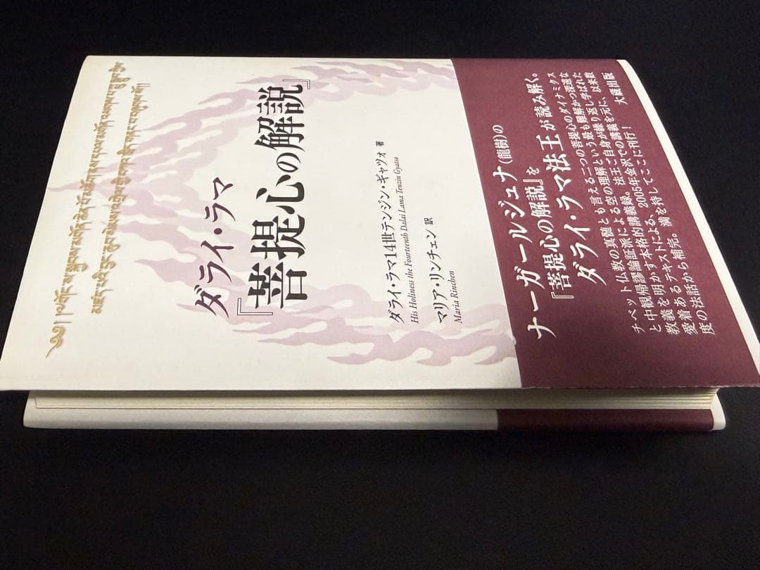 【希少】ダライ・ラマ　菩提心の解説