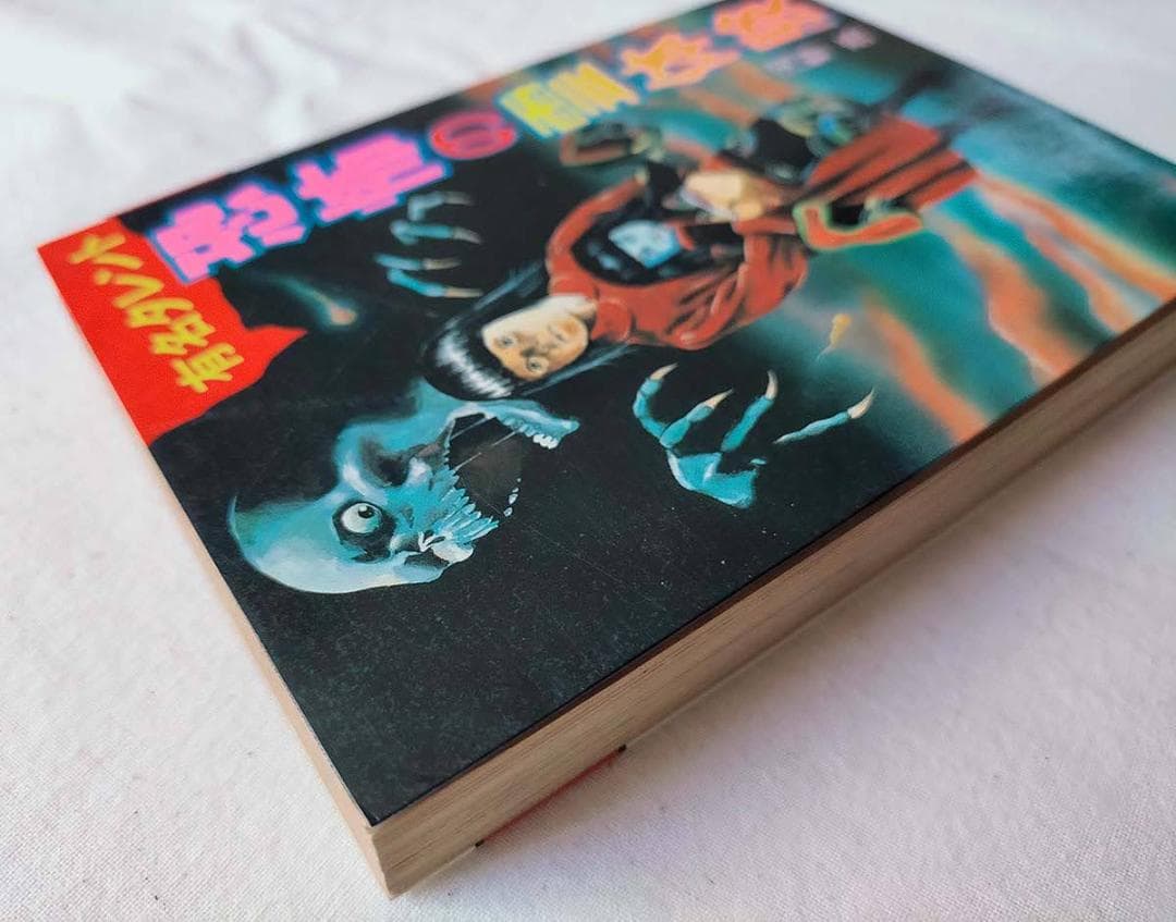 【昭和 レトロ】有名タレント恐怖の霊体験 (豆たぬきの本) 昭和63年