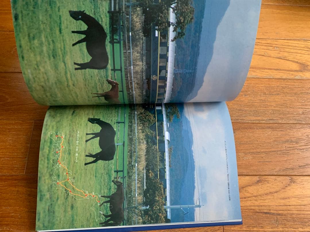 Orient Express’88フジテレビ開局30周年記念特別企画　実施報告書