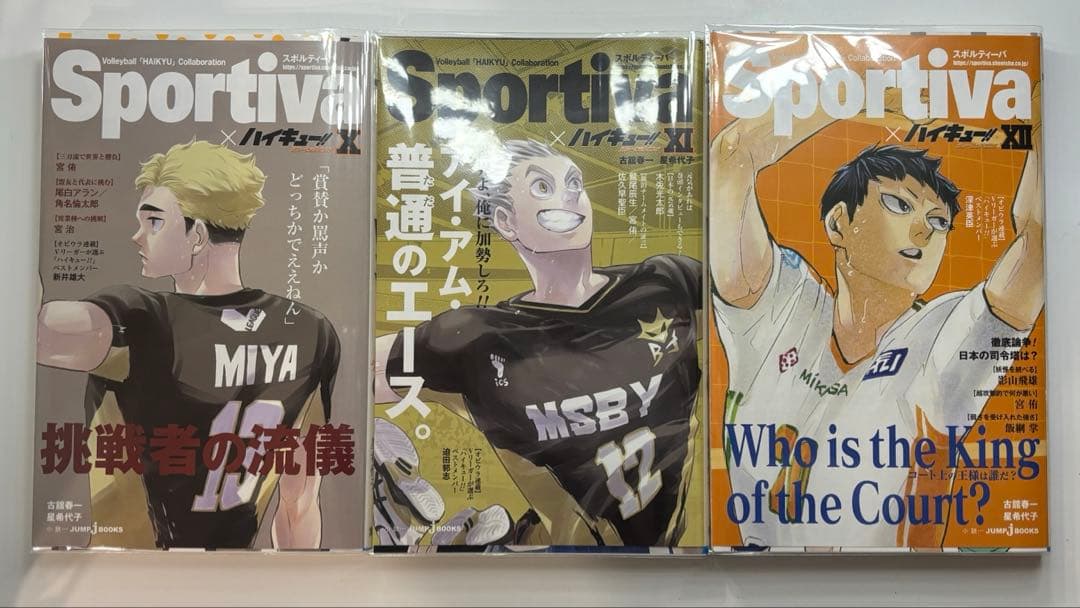 ハイキュー!! ショーセツバン!! 全巻セット