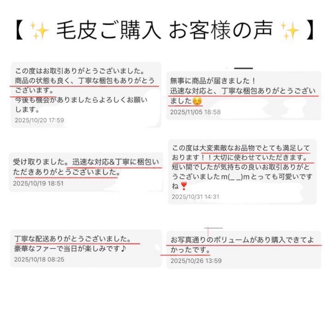 ✨極美品✨　サガフォックス　銀サガ　毛皮　ショール　マフラー　成人式　振袖　着物