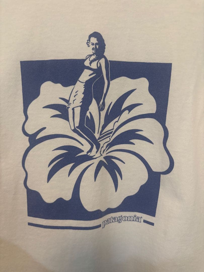 値下げ　レア　90s頃　パタゴニア　Tシャツ　Sヴィンテージ　ベネフィシャル