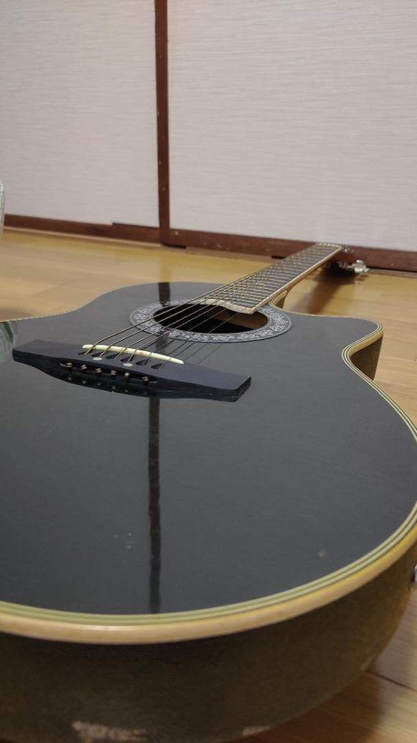ギター Sepia Crue CUSTOM EA350 BK