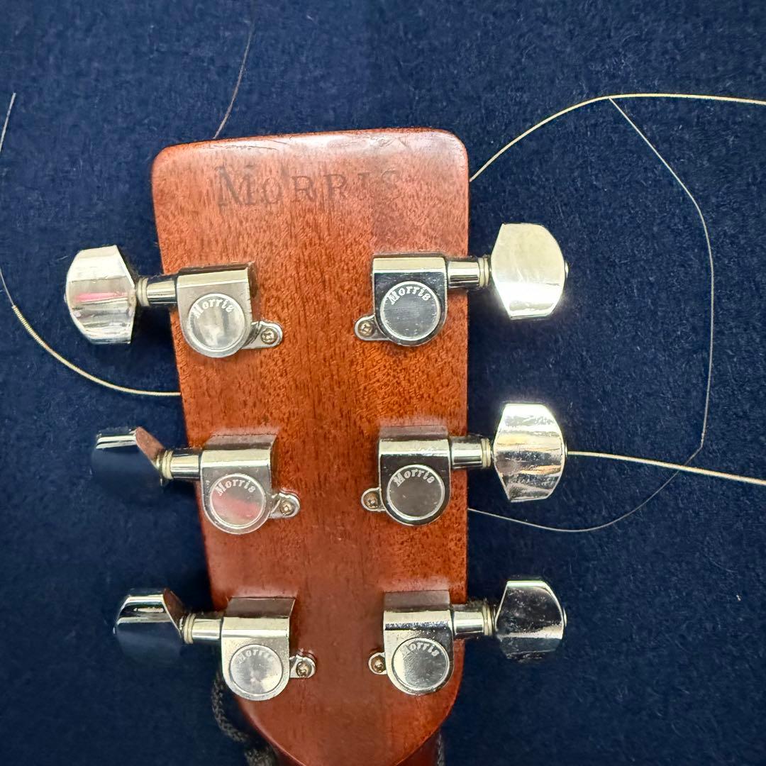 Morris モーリス W-30 アコースティックギター アコギ ソフトケース付