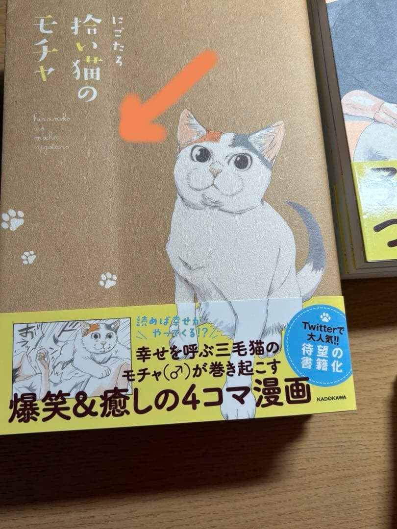 拾い猫のモチャ 全巻 +3冊