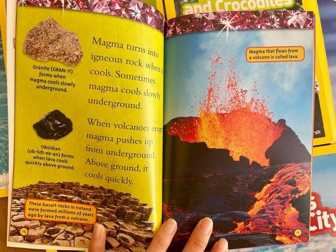新品National Geographic Kids L2/41冊セット英語絵本