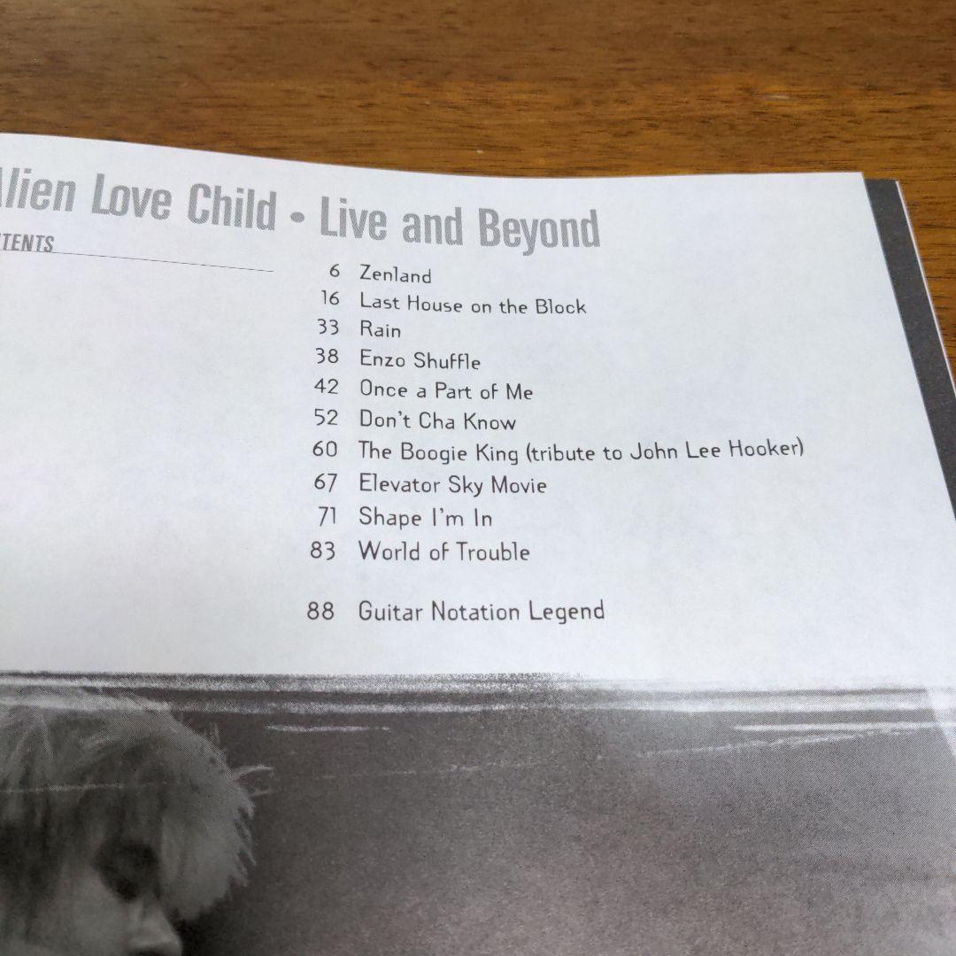 アート・デザイン・音楽 Eric Johnson Alien Love Child