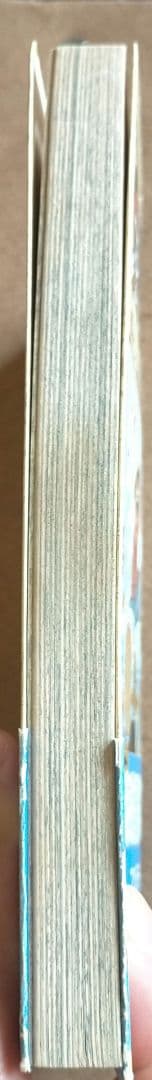 本日値下げ中☆ ONE PIECE 1巻 希少 帯付 ワンピース 尾田栄一郎