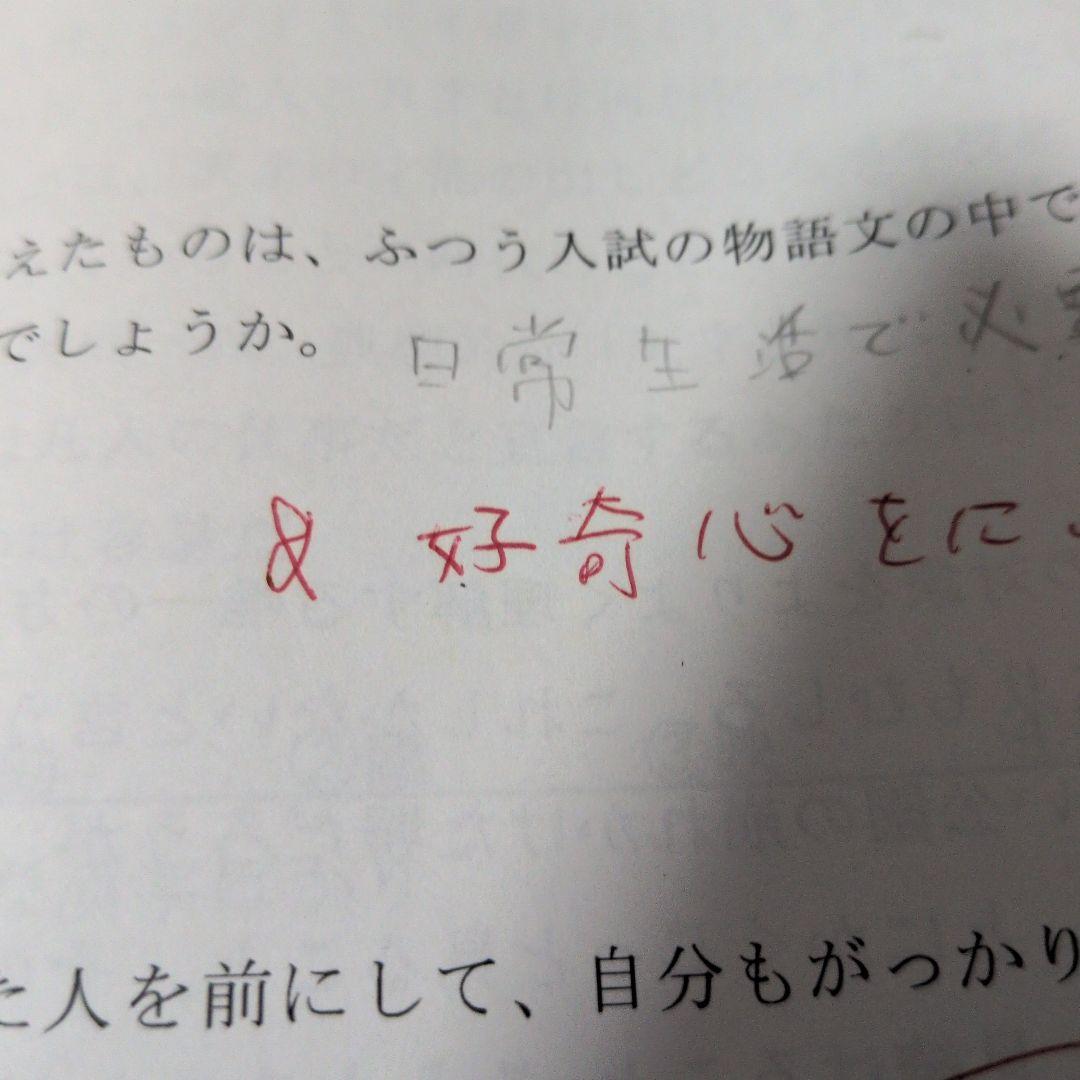 NN桜蔭 桜蔭中学校入試問題解説集 国語・算数