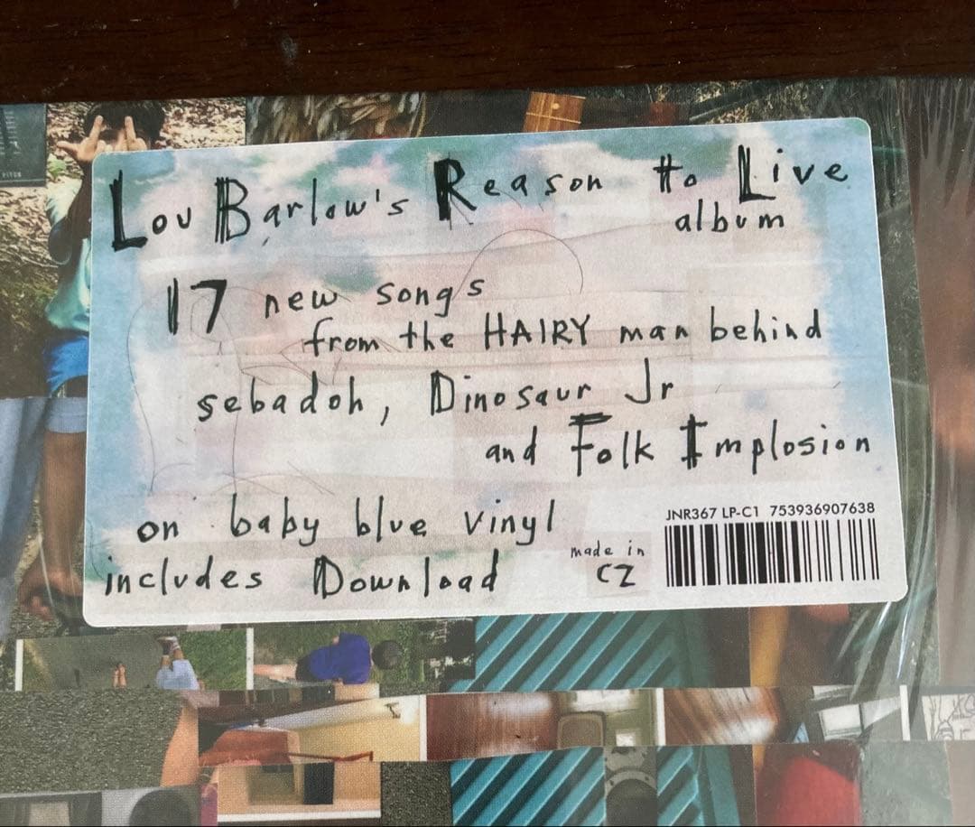 ■USオルタナ名盤■LOU BARLOW / ルーバーロウ ■Lou Barlo