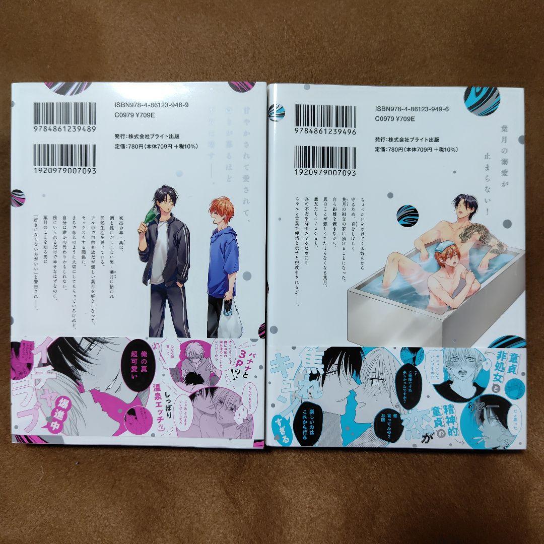 「ずるい男に拾われました」「続・ずるい男に拾われました」シリーズ６冊セット