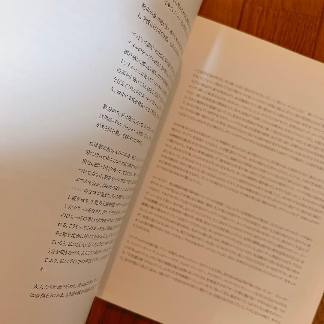 Joel Meyerowitz 写真集 A SUMMER'S DAY 日本語訳版