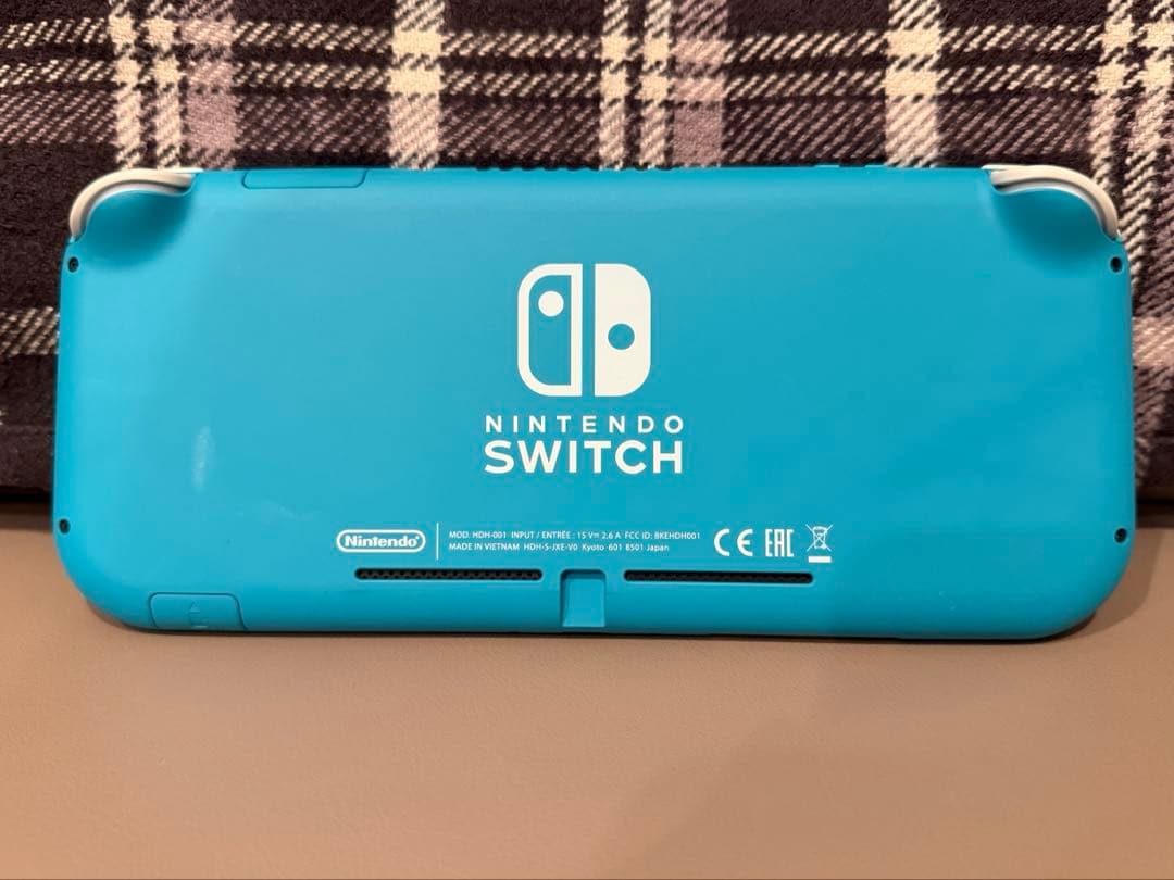 Nintendo　Switchライト　ターコイズ　本体　充電器　ケース