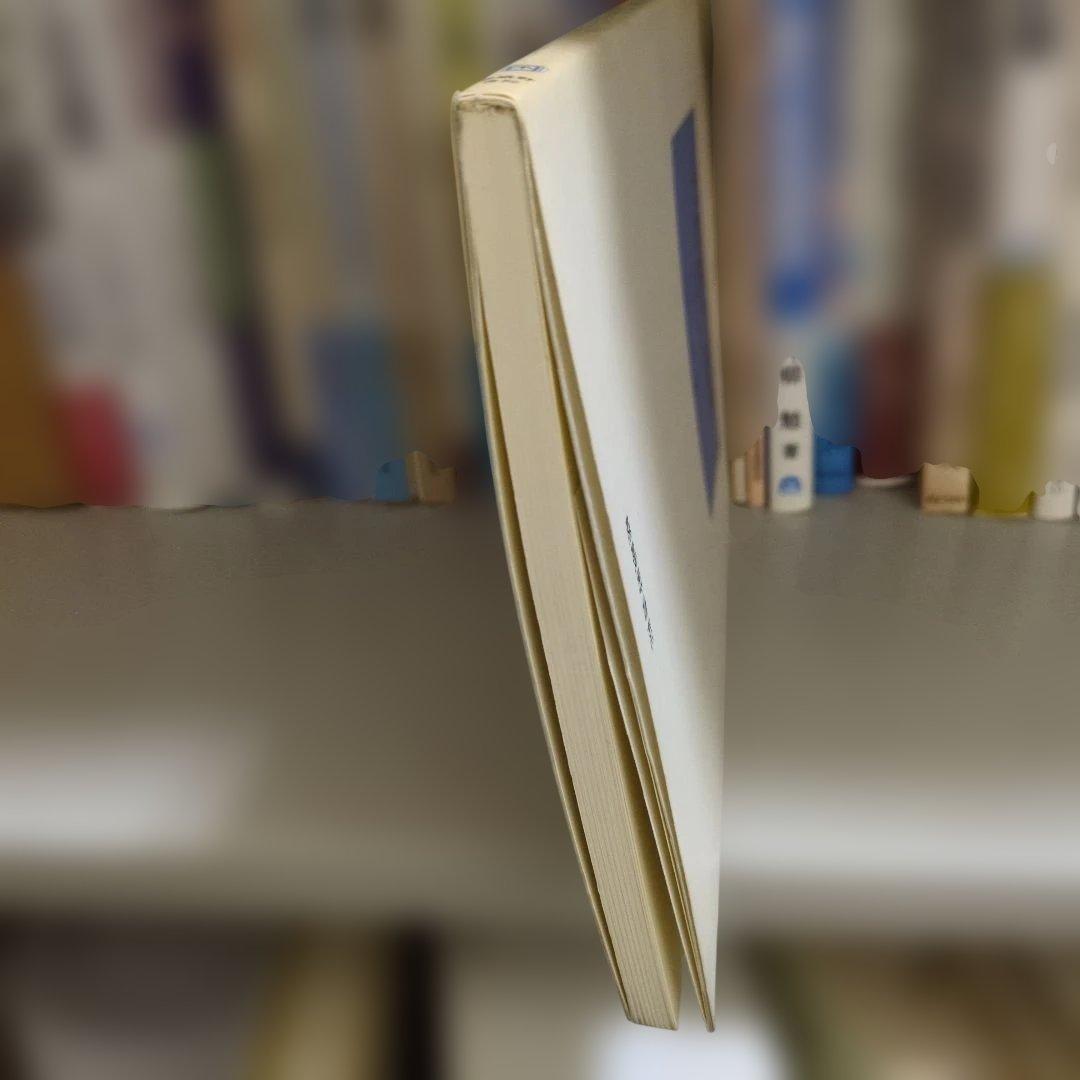 行政法の基礎 嵯峨野書院