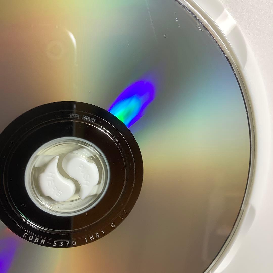 【廃盤】『サーモンベリーズ』パーシー・アドロン/k.d.ラング(DVD)セル版