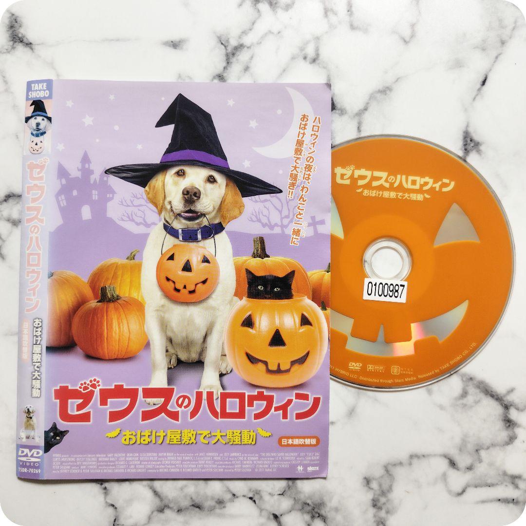 『ゼウス』レンタル落ちDVD★3枚セット