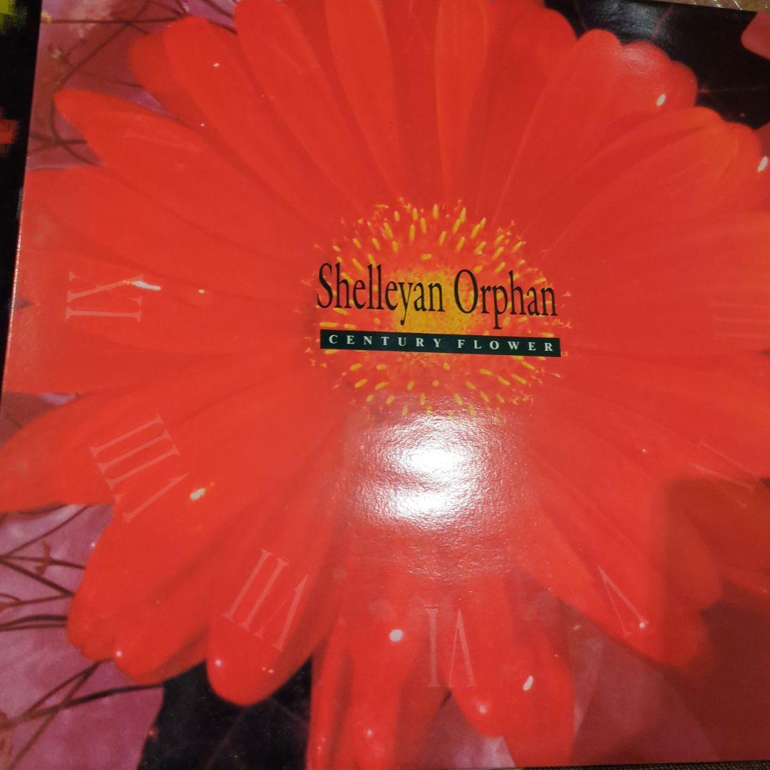 Shelleyan Orphan レコード 2枚
