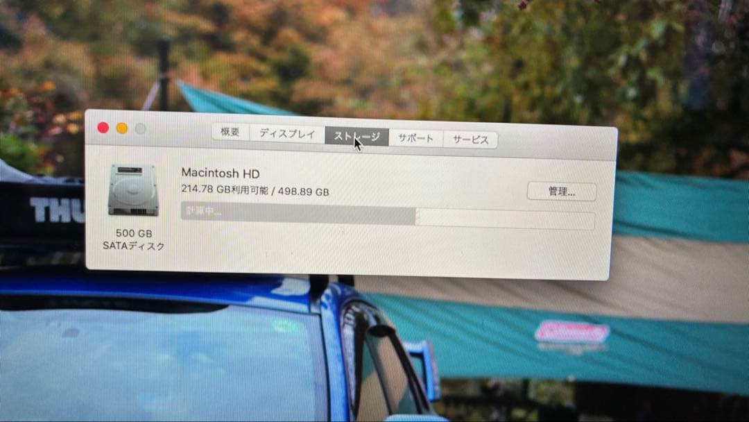 【からし】Apple Mac mini 2014