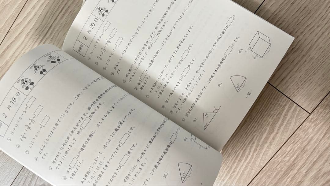 サピックス 基礎力トレーニング 5年生 算数