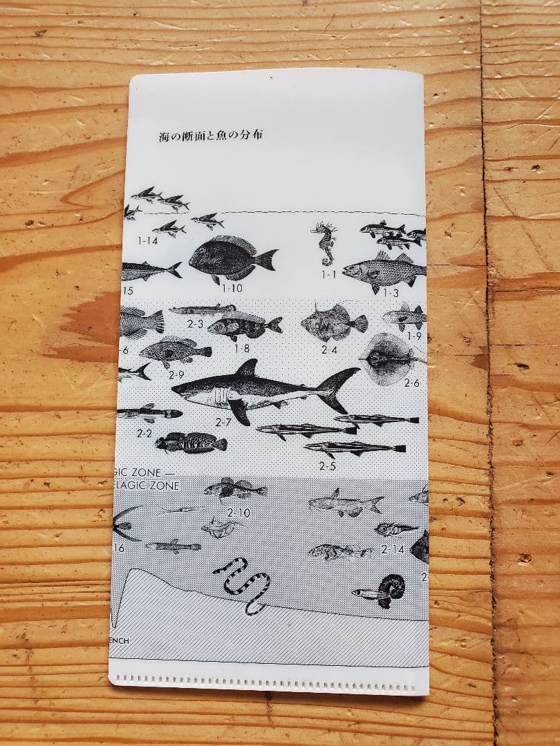 サカナクション 魚大図鑑