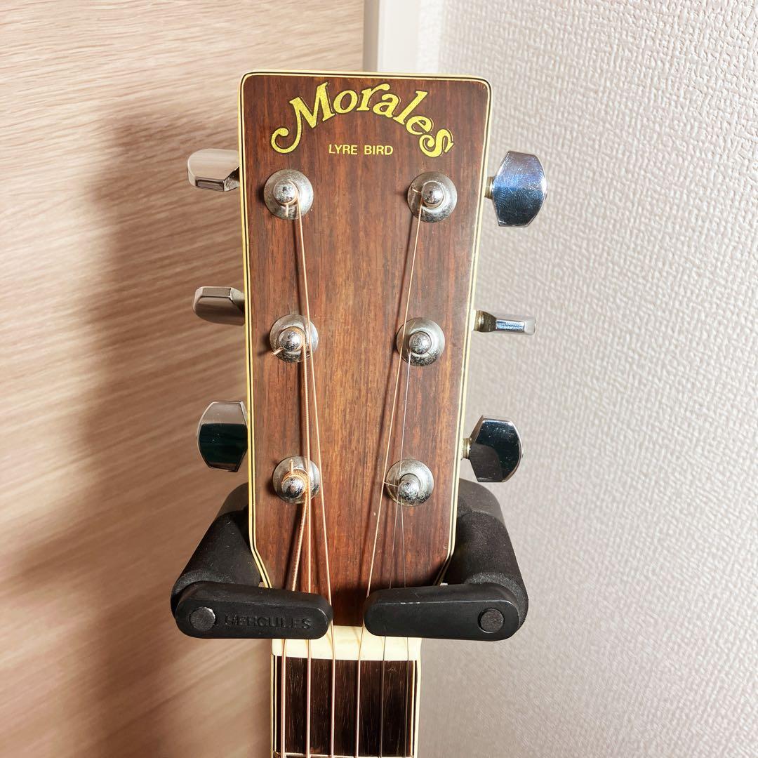 【調整済】Morales モラレス M-35 LYRE BIRD