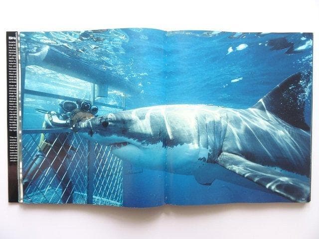 洋書◆サメの写真集 本 鮫 ジョーズ 動物