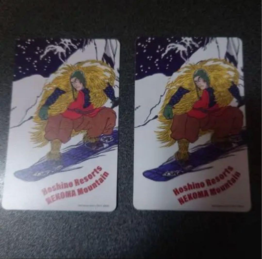 ネコママウンテン　1日リフト券　2枚組