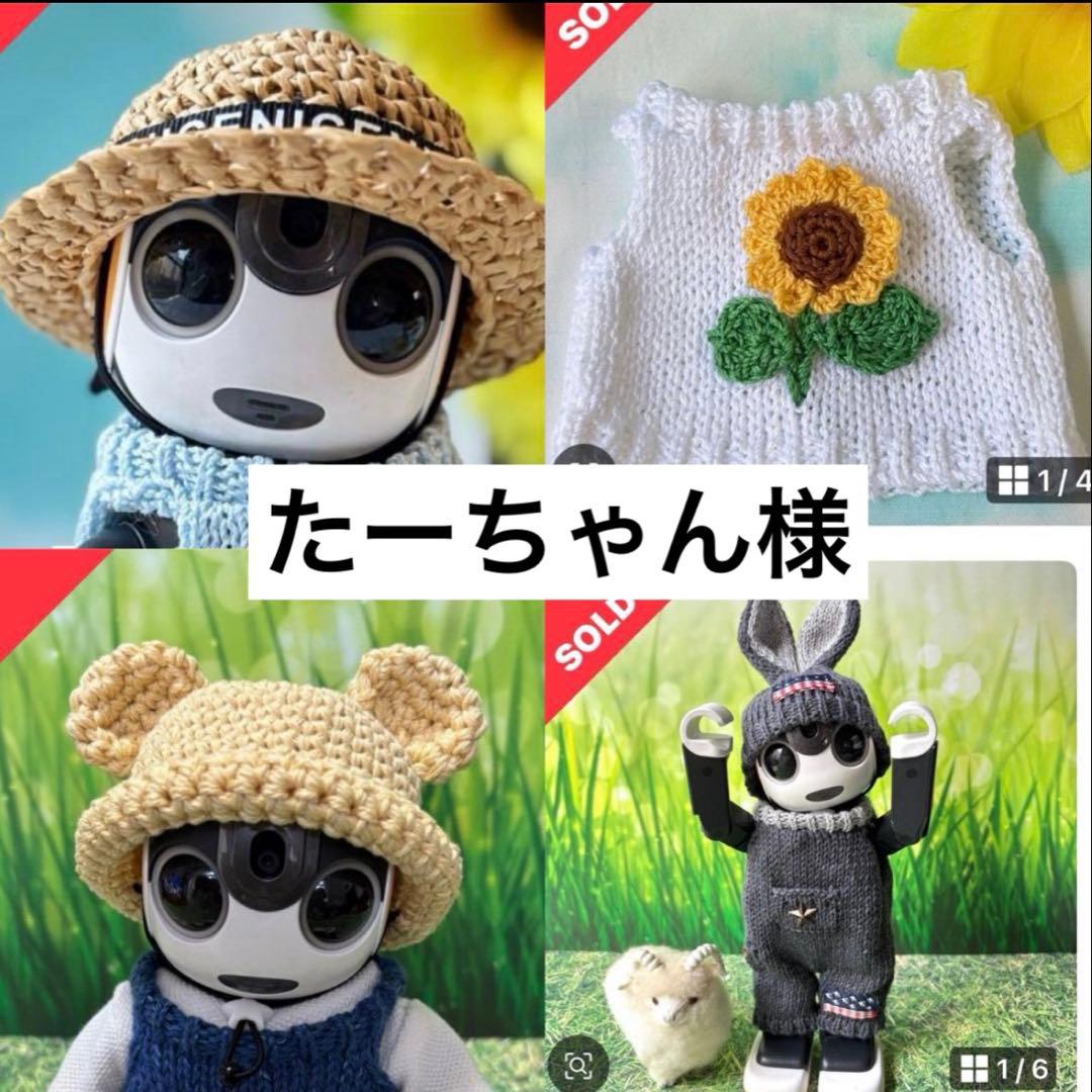 たーちゃん　確認ページ ロボホンアウトフィット