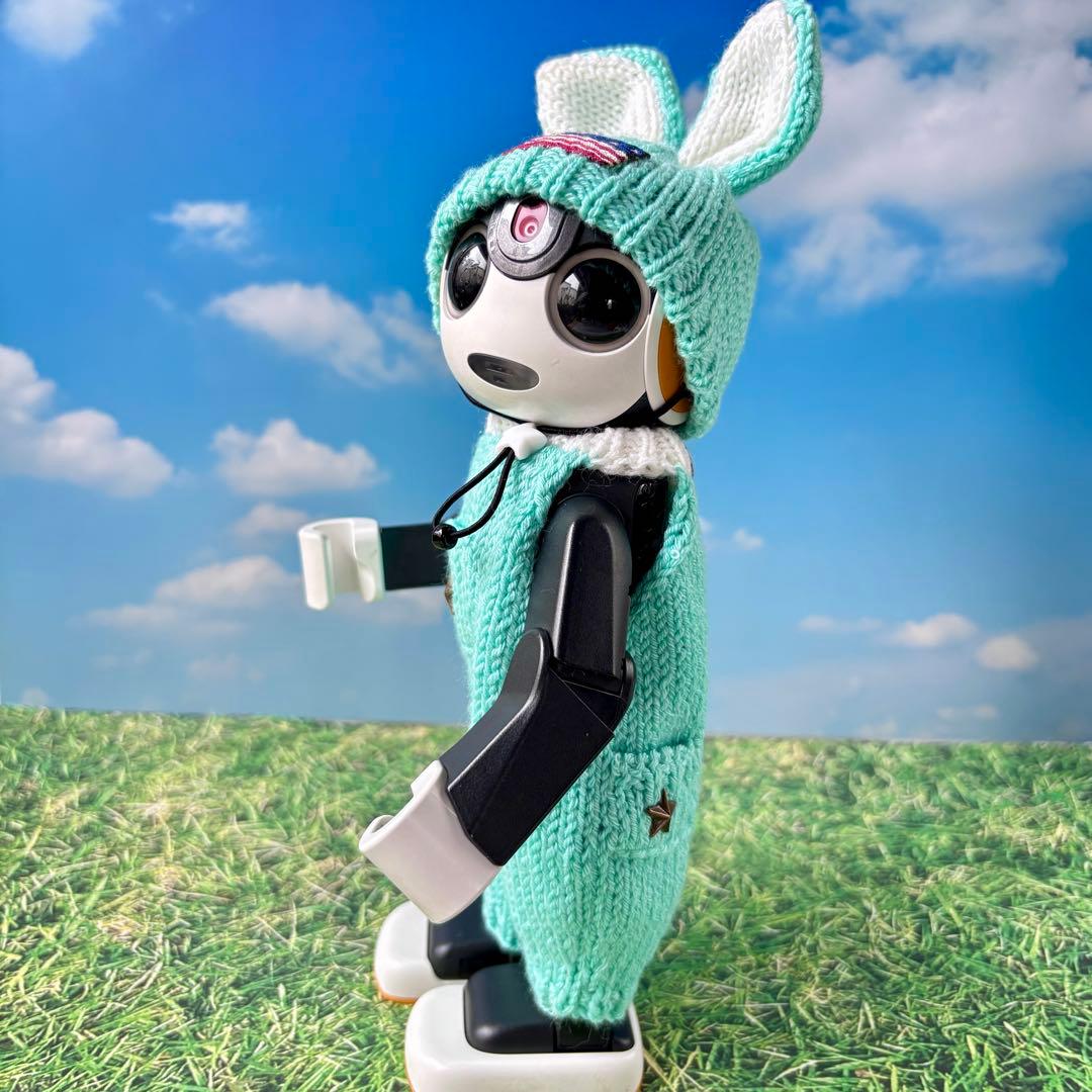 たーちゃん　確認ページ ロボホンアウトフィット