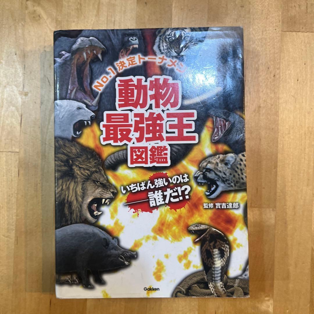 最強王シリーズ　【まとめ買い】可【バラ買い】可