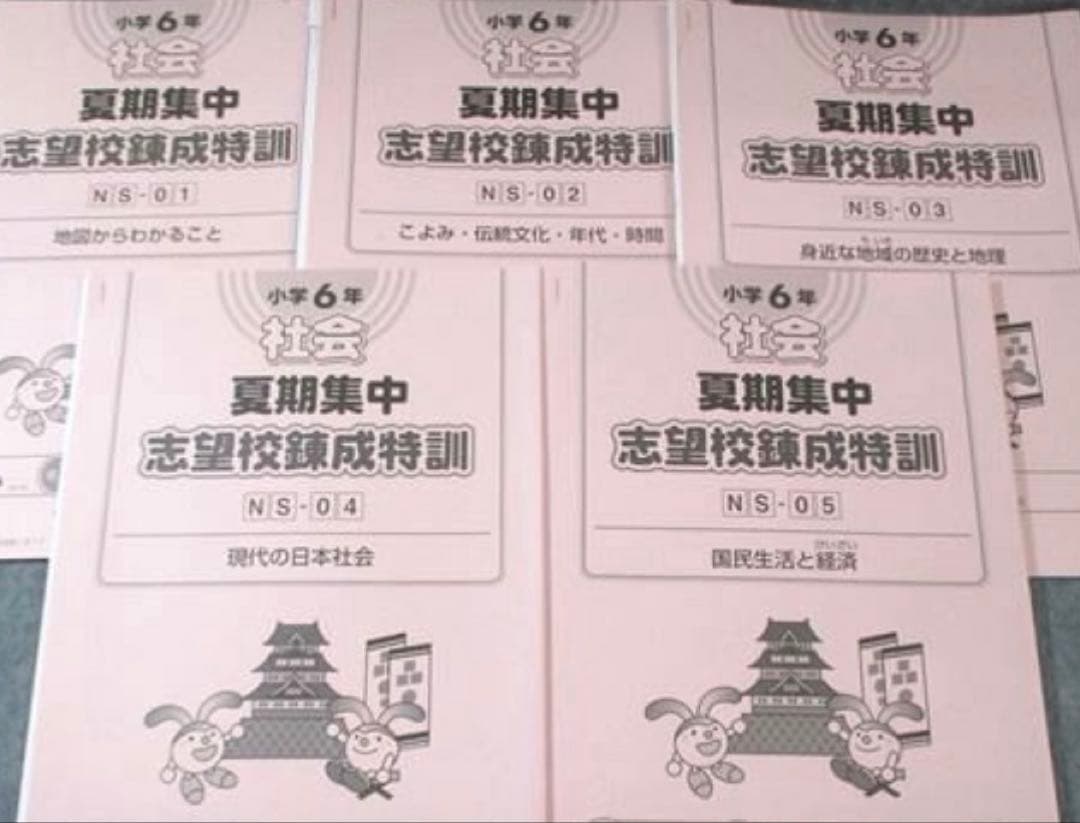 2025年度最新　サピックス6年　夏期志望校錬成特訓 筑駒　開成コース　4教科