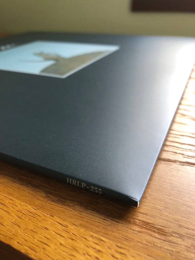 家主2nd『DOOM』LPレコード
