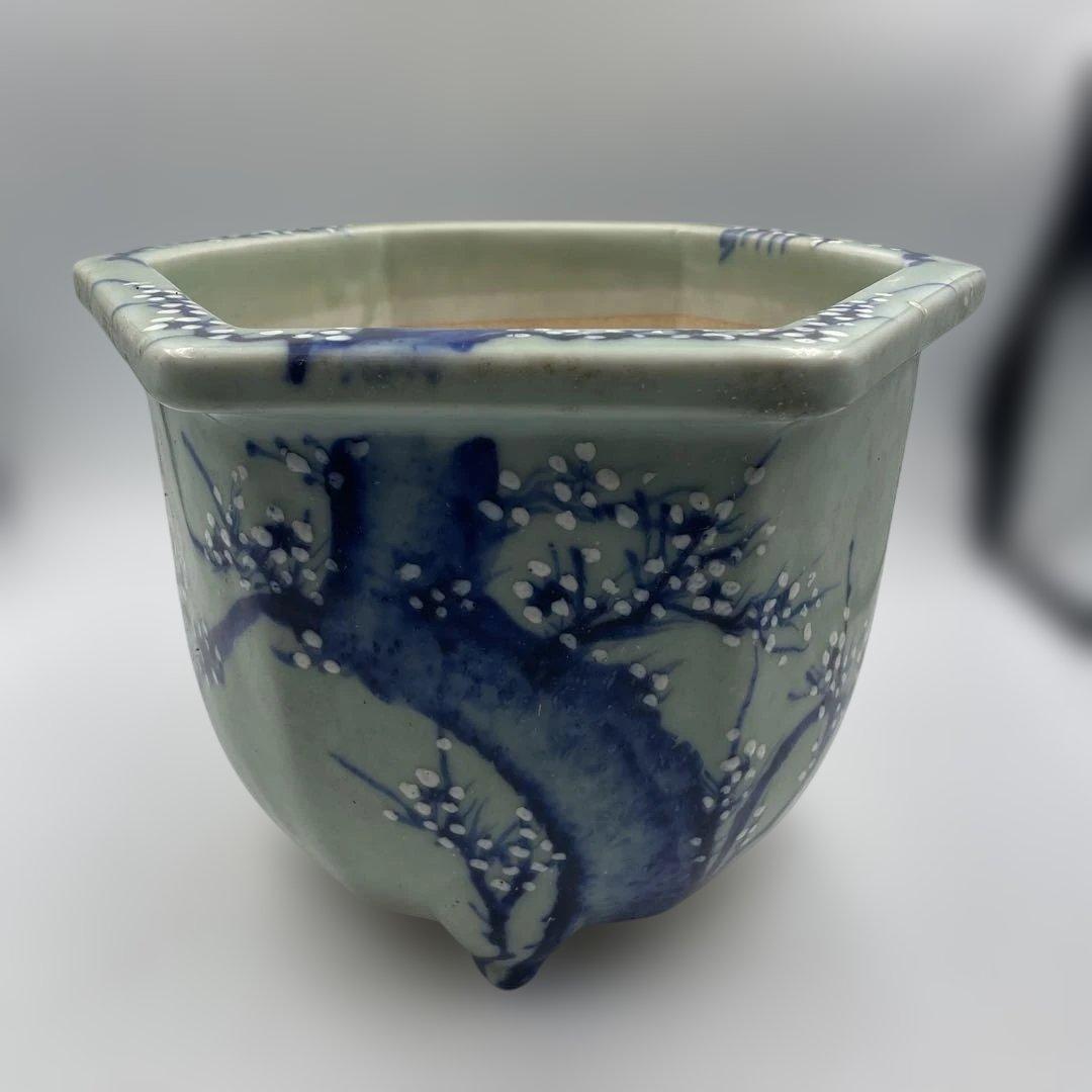 瀬戸 梅文 青磁 植木鉢 盆栽鉢 梅鉢 時代物　❷個セット
