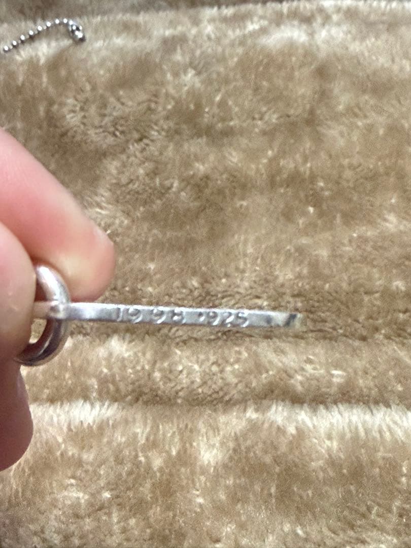 Chrome Hearts ドッグタグネックレス シルバー925