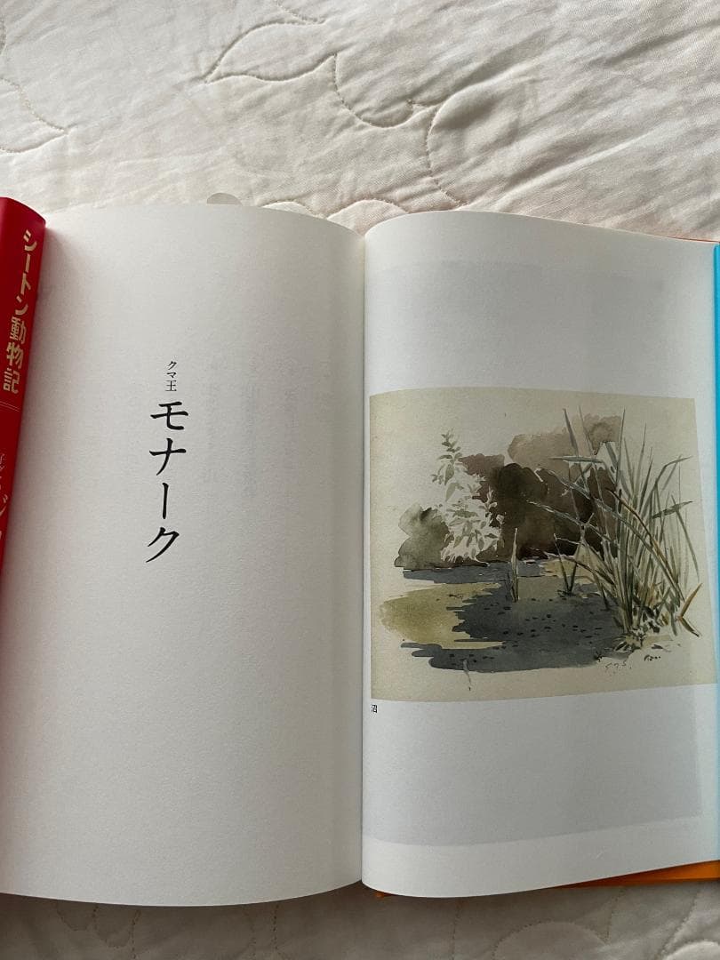 • シートン動物記 15巻セット（童心社 図書館版）美品／完訳・カラー口絵多数