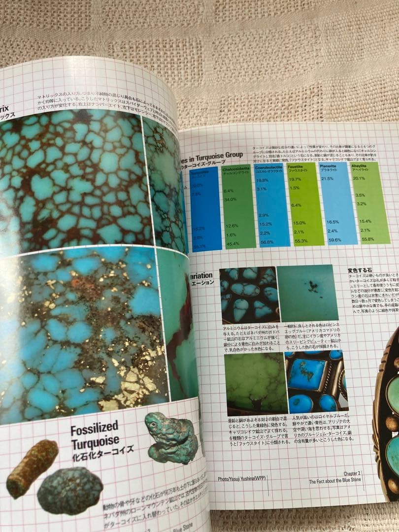 ターコイズ・ブックThe Turquoise Book インディアンジュエリー