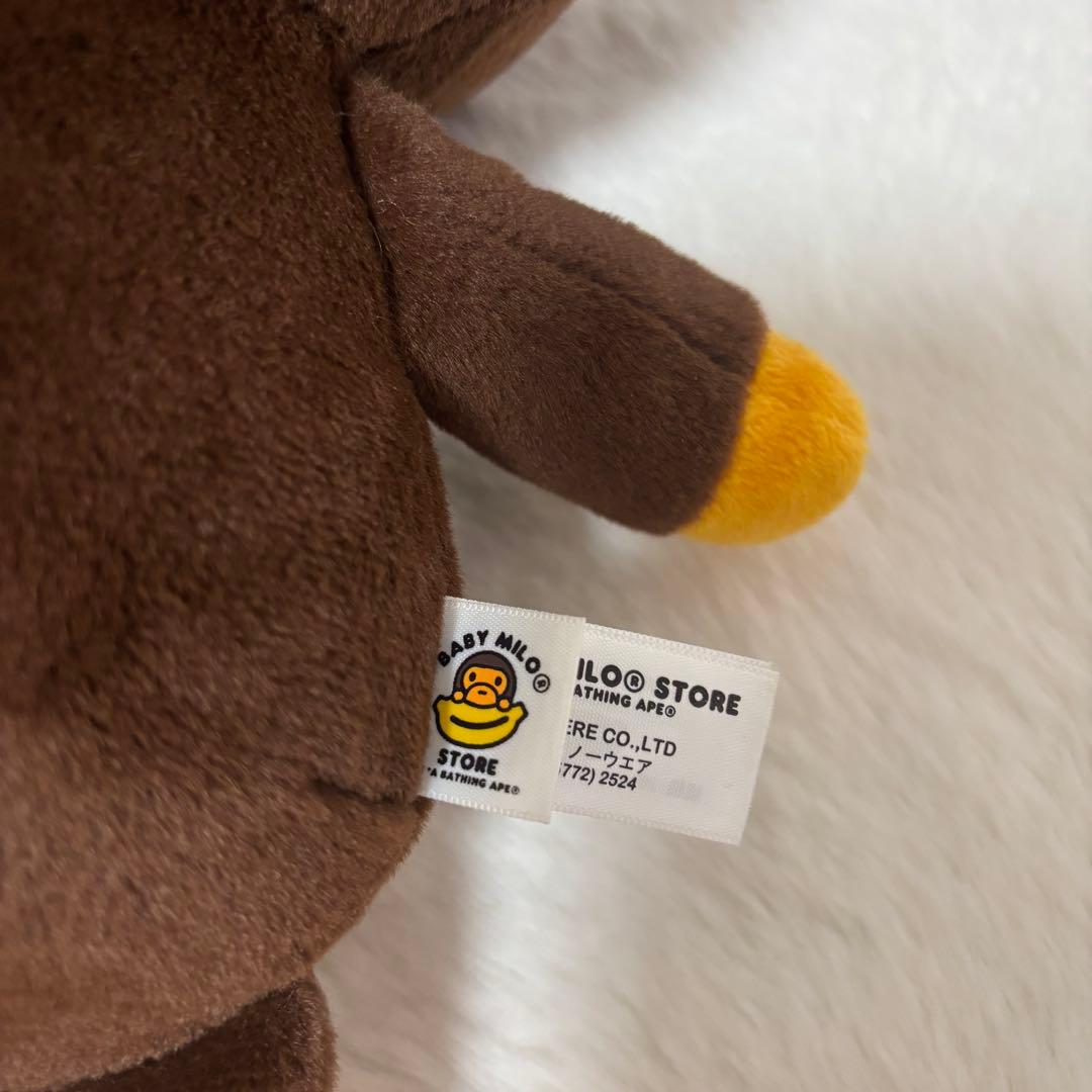 ぬいぐるみ BABY MILO PLUSH DOLL 35CM