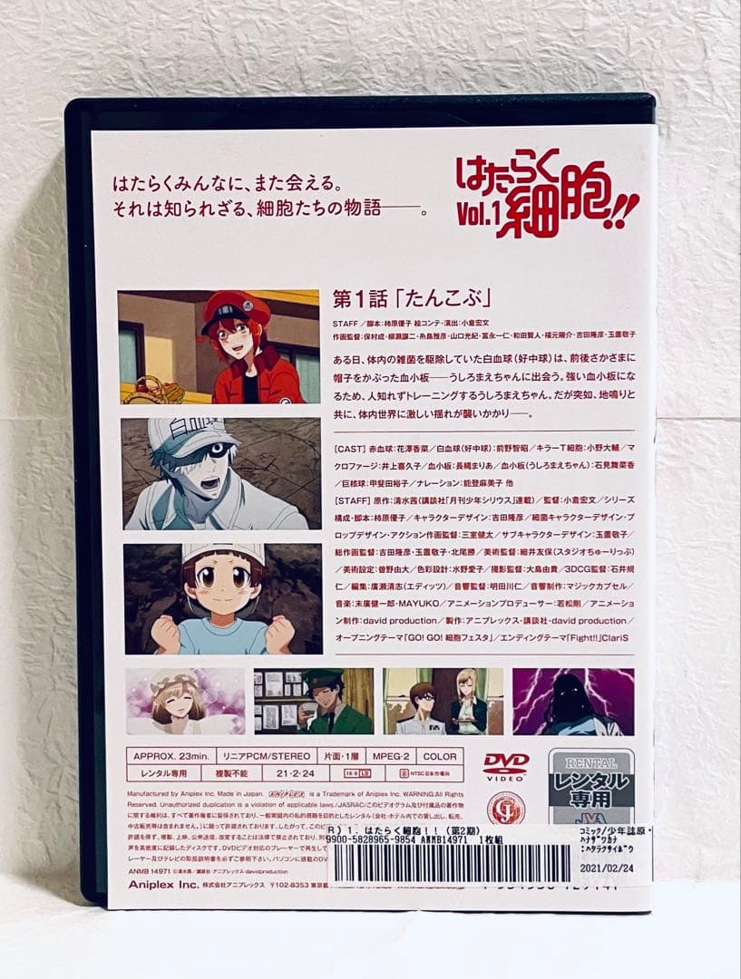 はたらく細胞!! 第２期　【全4巻】　レンタル版DVD 全巻セット　アニメ
