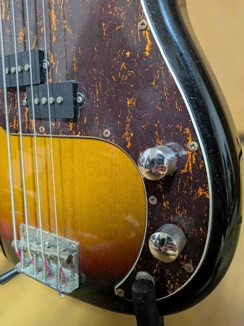 てぃーけーどんSELDER セルダー エレキベース PB-30