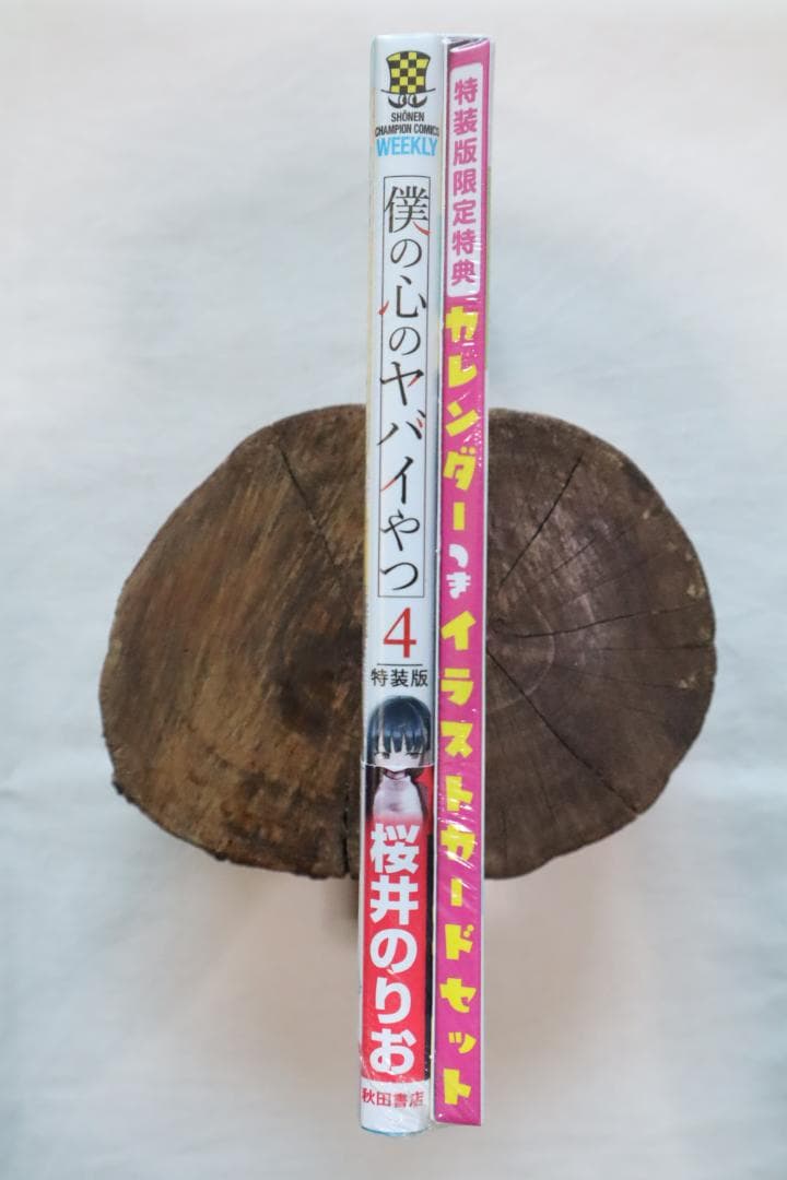 新品？ 僕の心のヤバイやつ 特装版 4巻 桜井のりお著
