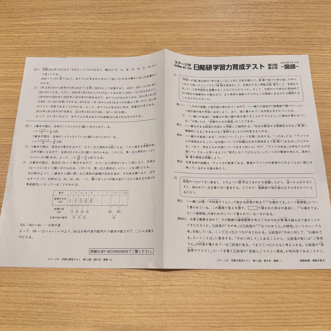 日能研 6年 学習力育成・合格力育成/実践テスト 解答解説付き 2024年度