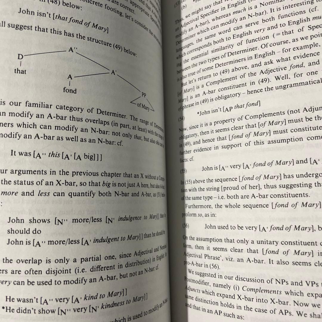 語学・辞書・学習参考書 Transformational Grammar:Radford