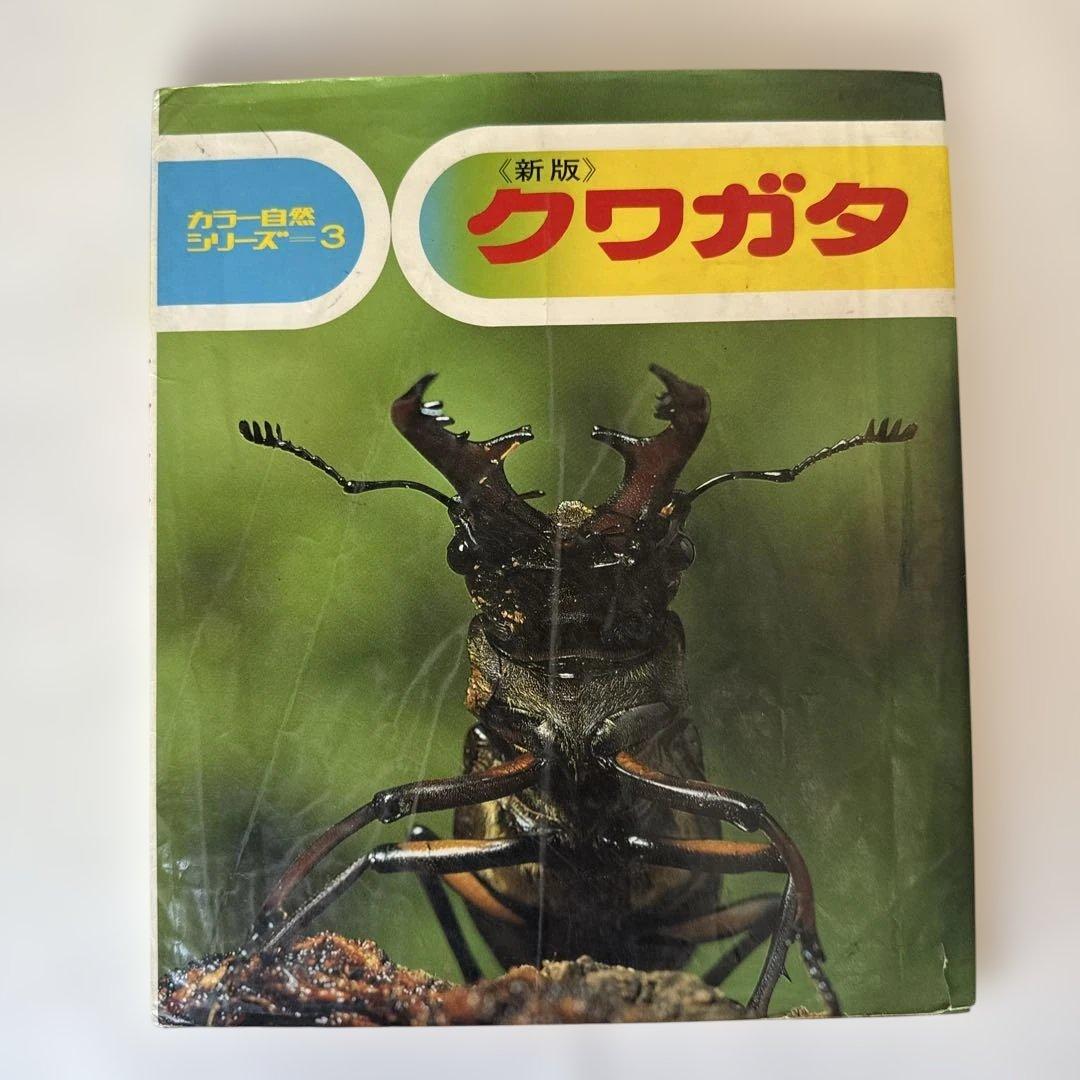 絵本　今でも人気の絵本28冊 :3.4才〜小学校中学年(ほるぷ　こりすコース)