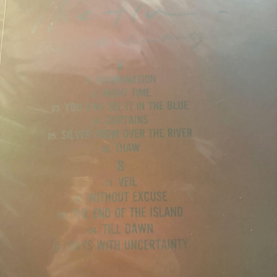 The fin. Days With Uncertainty 新品 10周年盤