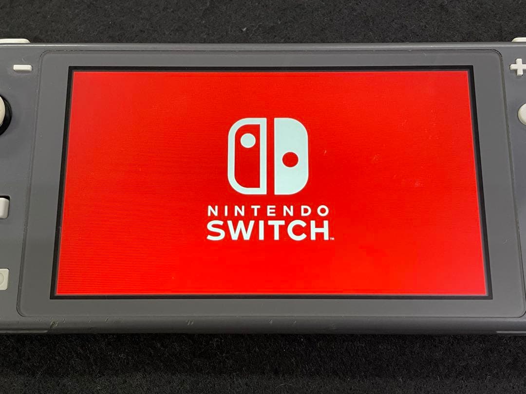 Nintendo Switch Lite グレー 充電器付き 2019年製