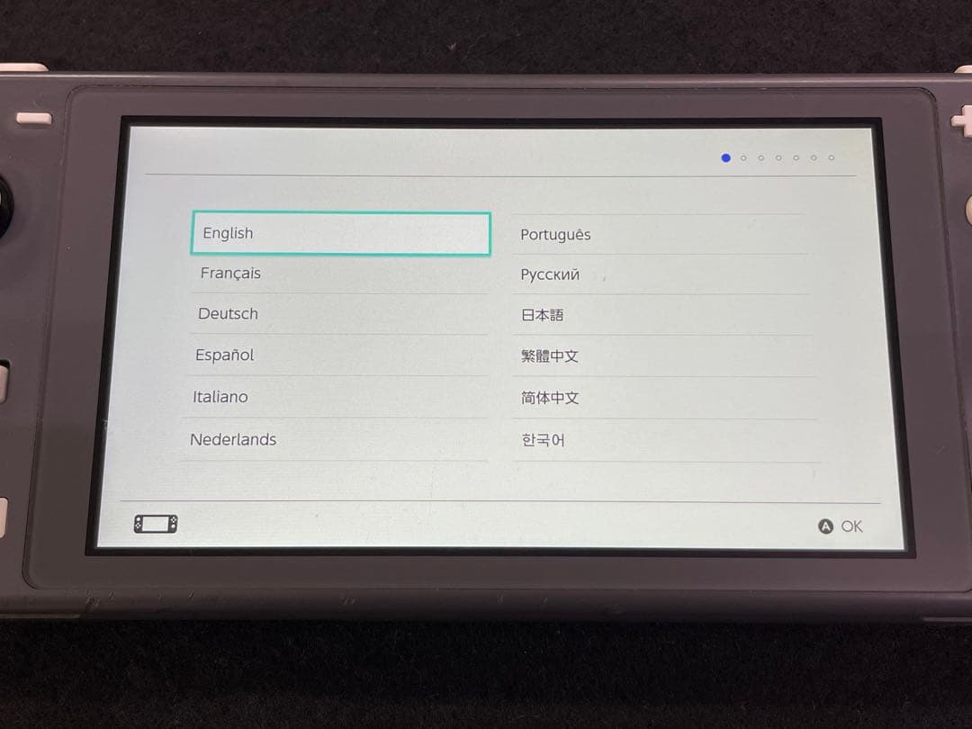 Nintendo Switch Lite グレー 充電器付き 2019年製