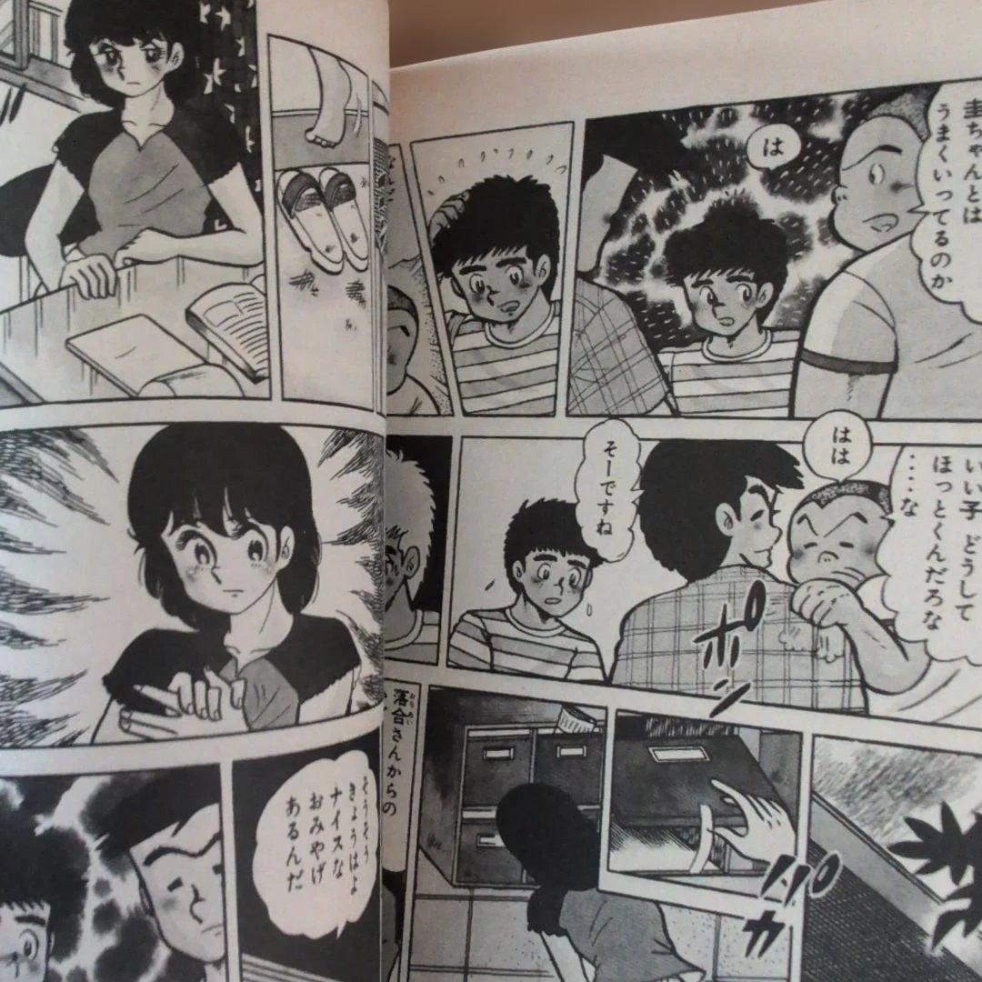 翔んだカップル