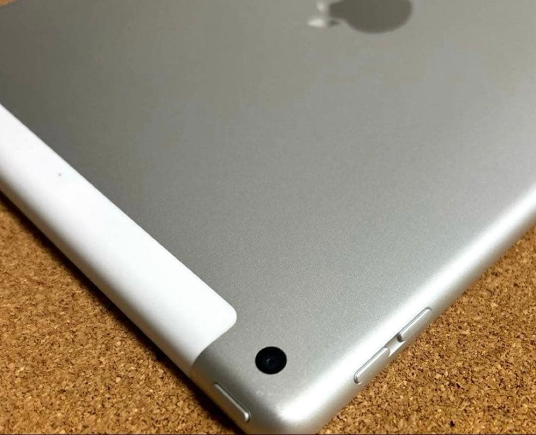 Apple iPad9 SIMフリー 64GB 89% (20)